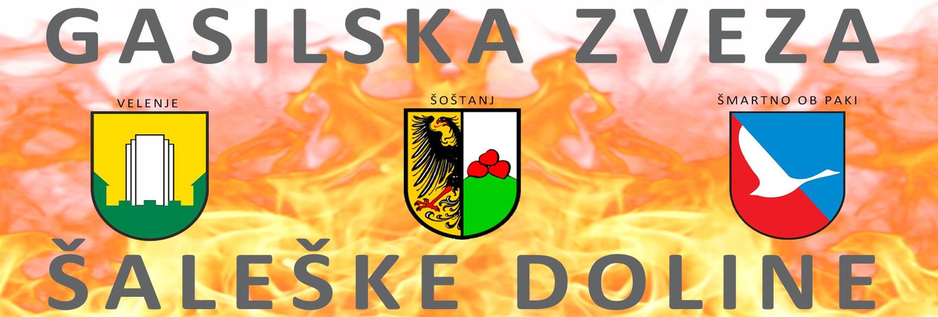 GASILSKA ZVEZA ŠALEŠKE DOLINE